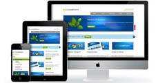 suitable litespeed shared hosting business